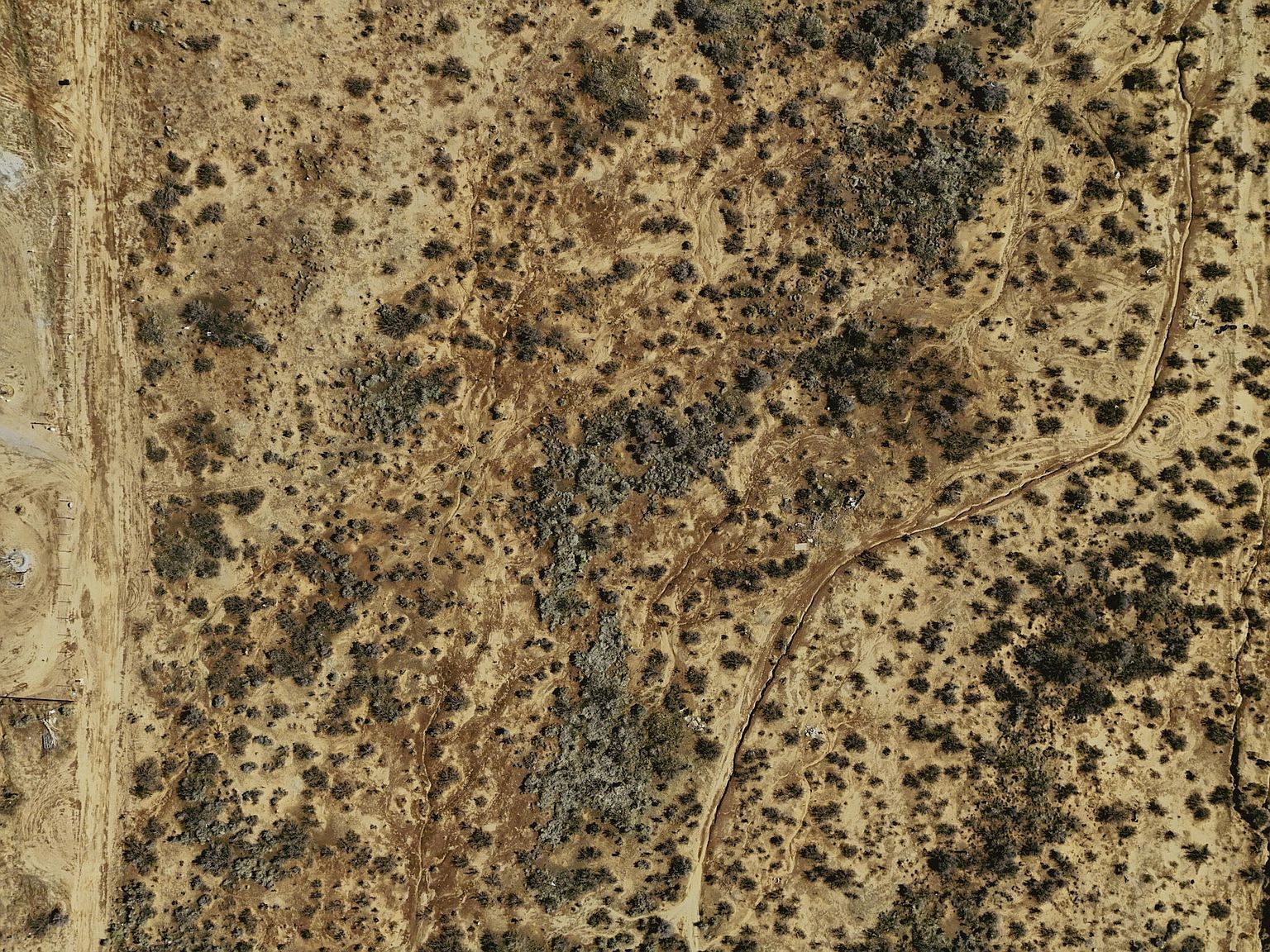 9220 Floret Ln Las Cruces, NM 88011  | Land/Lot