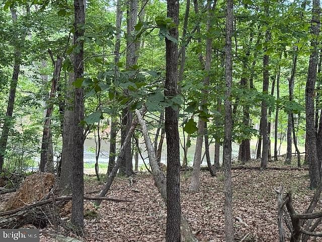 0 Red Oak Rd Cross Junction, VA 22625 | Land/Lot