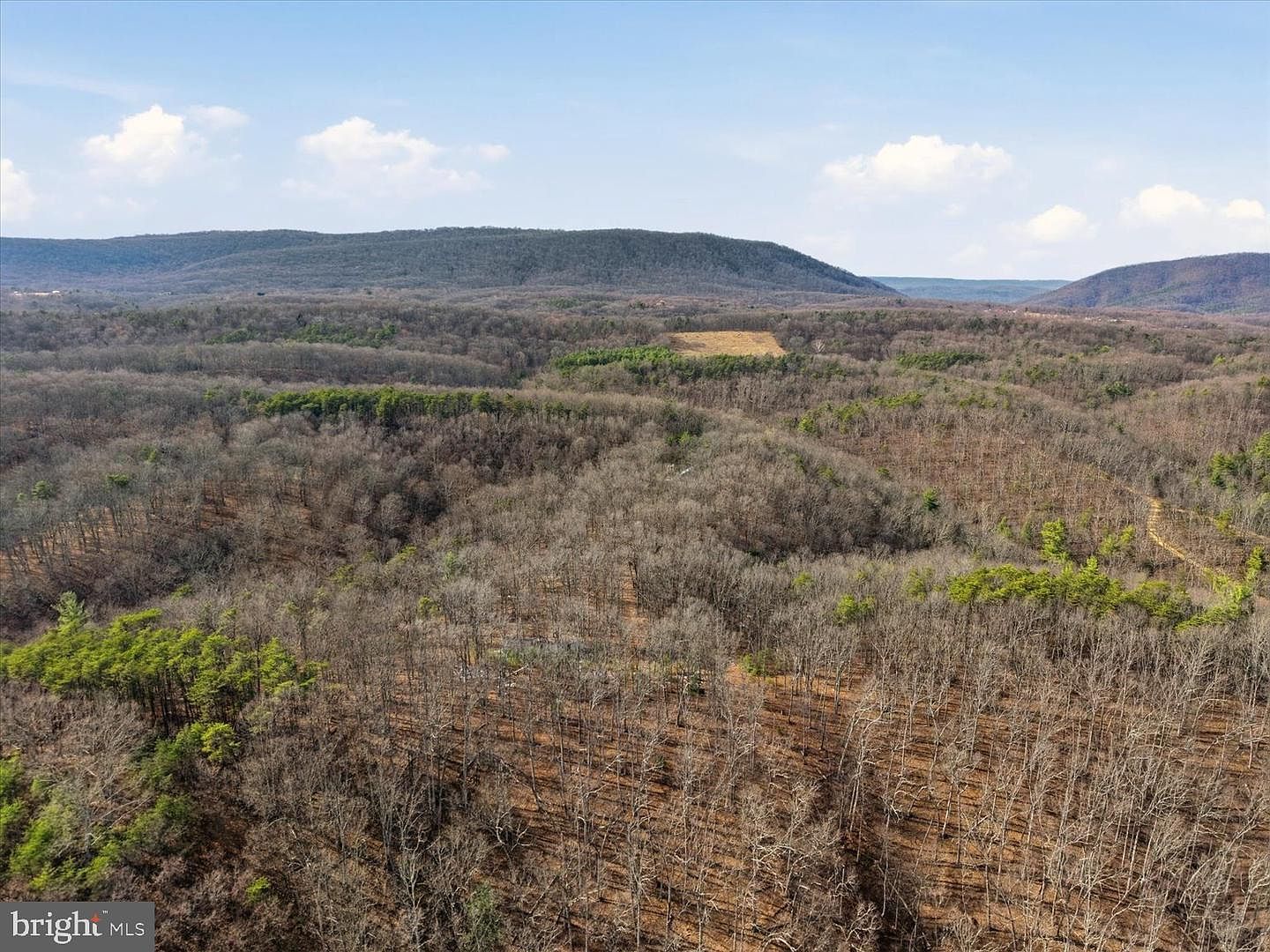 494 Sam Hill Ln Great Cacapon, WV 25422 | Land/Lot