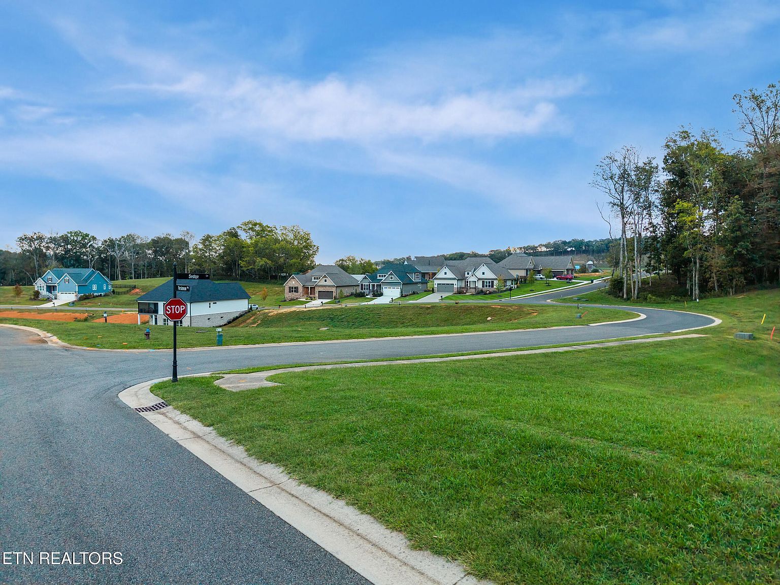 249 Sedge Ln Loudon, TN 37774  | Land/Lot