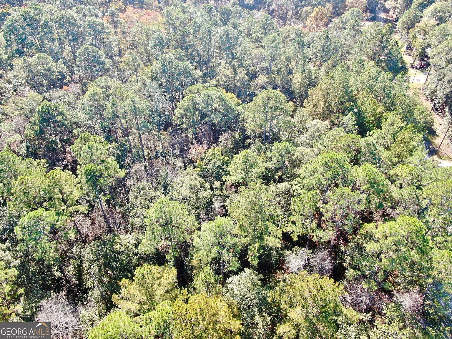 291 Sawdust Trl Waycross, GA 31503  | Land/Lot