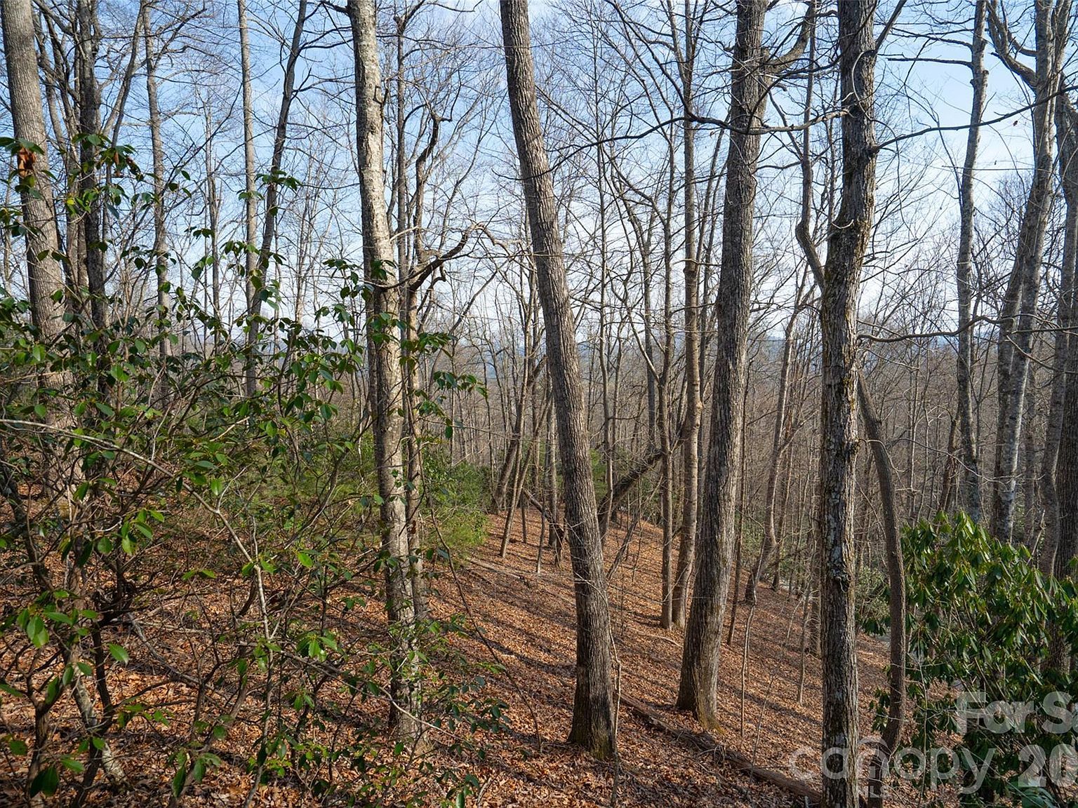 29 Open Ridge Trl Pisgah Forest, NC 28768  | Land/Lot