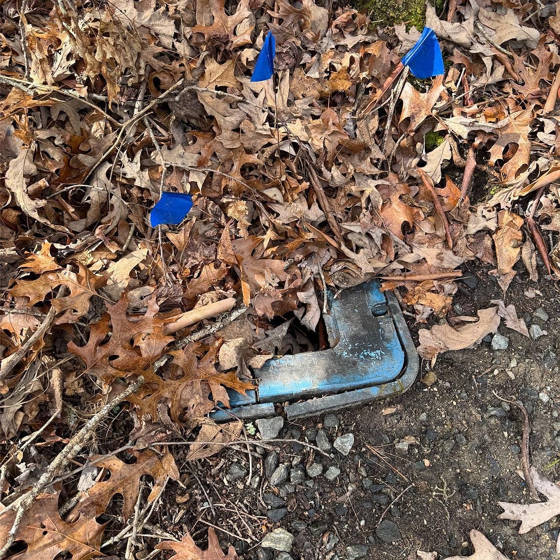 0 Falls Creek Ct Pisgah Forest, NC 28768  | Land/Lot