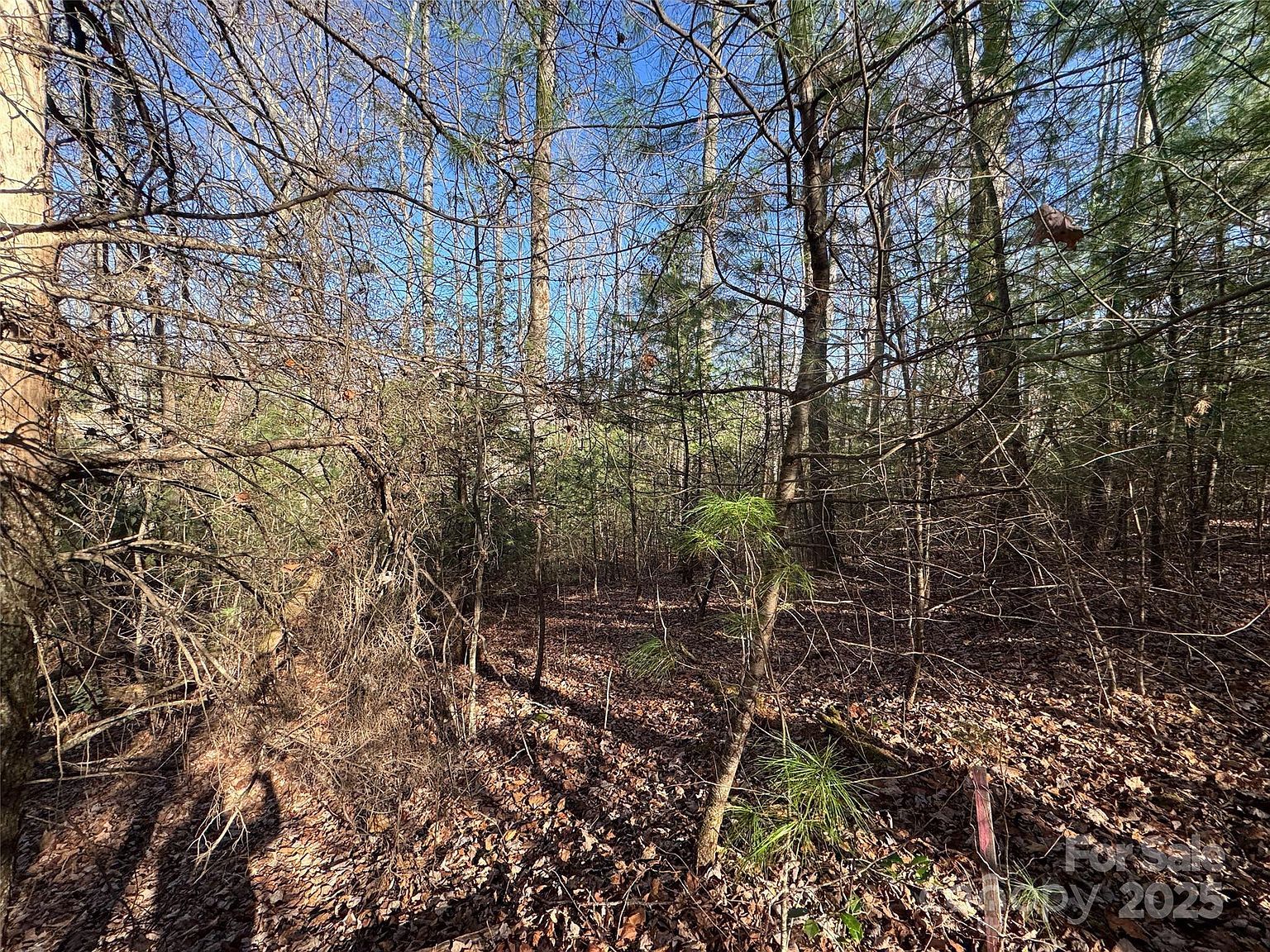 0 Small Creek Rd Brevard, NC 28712  | Land/Lot