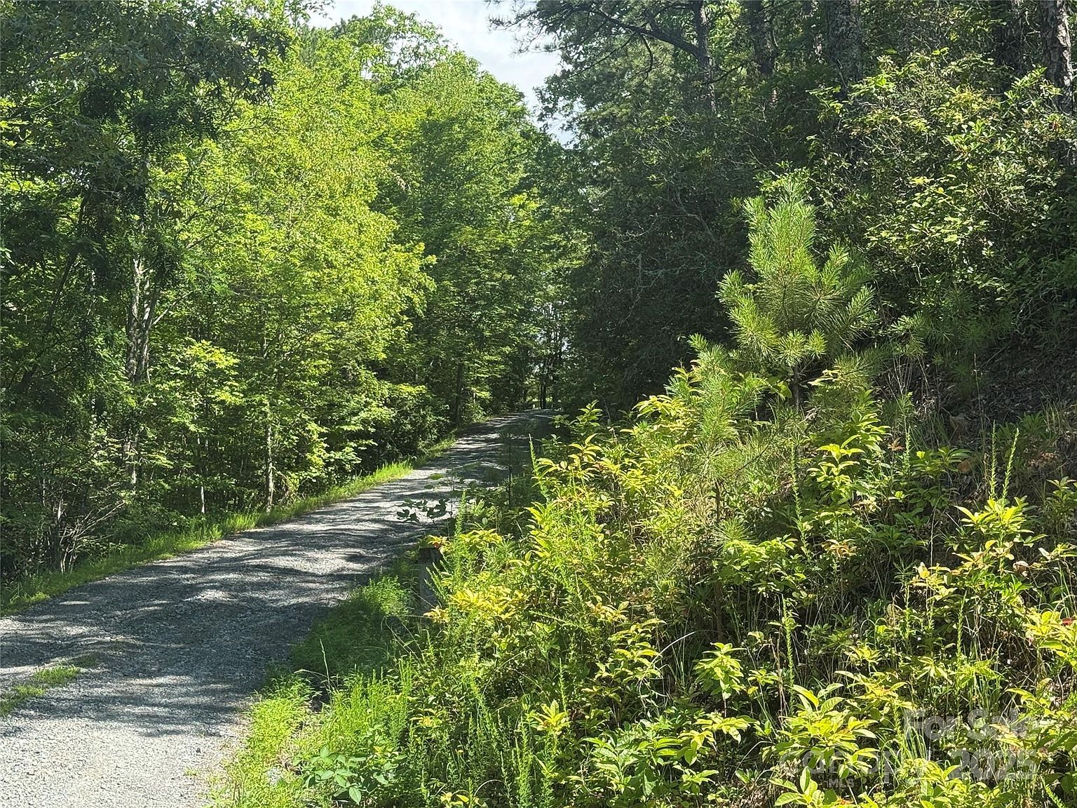 999 Ivy Ln Pisgah Forest, NC 28768  | Land/Lot