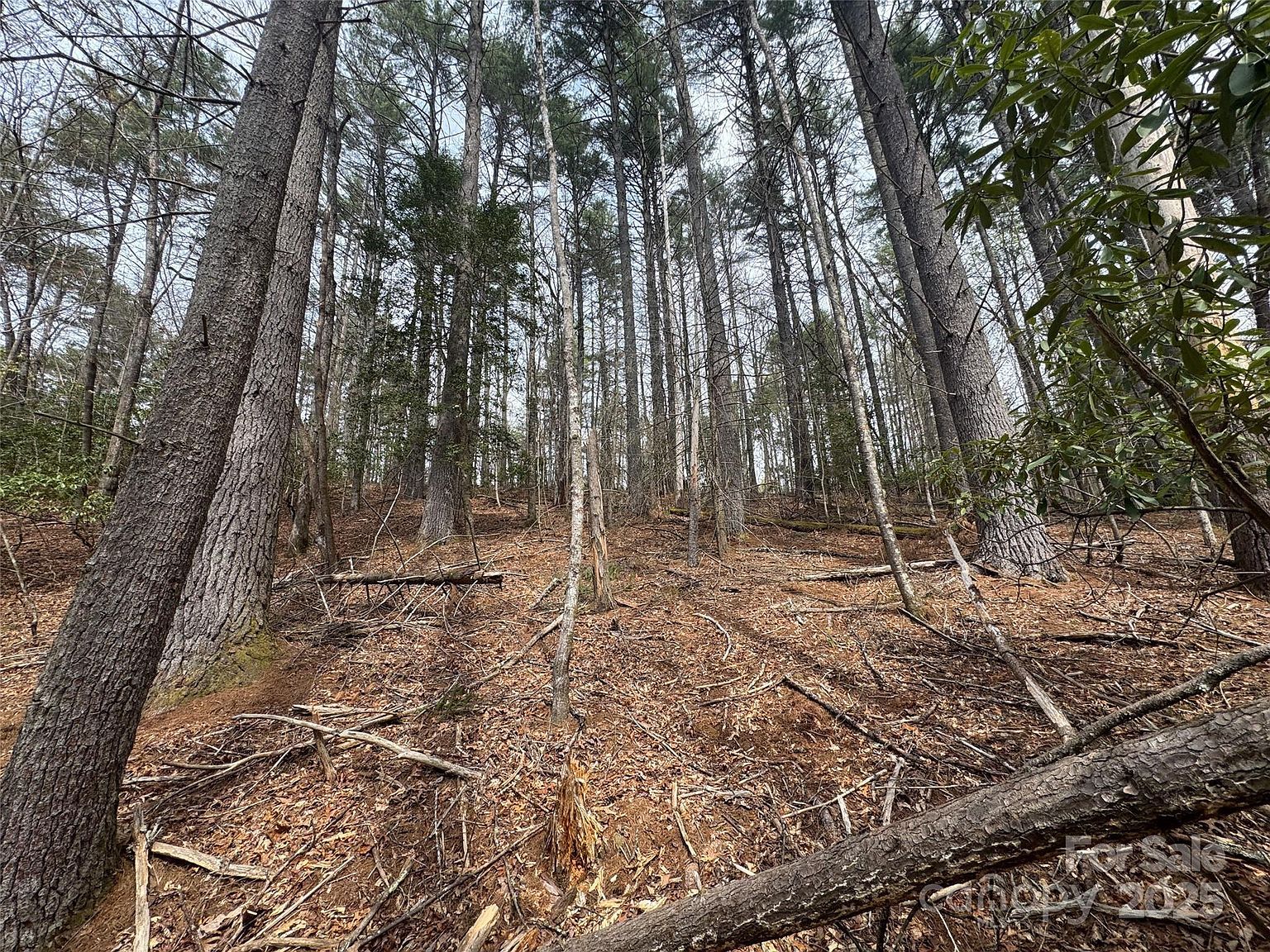 TRACT A Cherrywood Ln Pisgah Forest, NC 28768  | Land/Lot