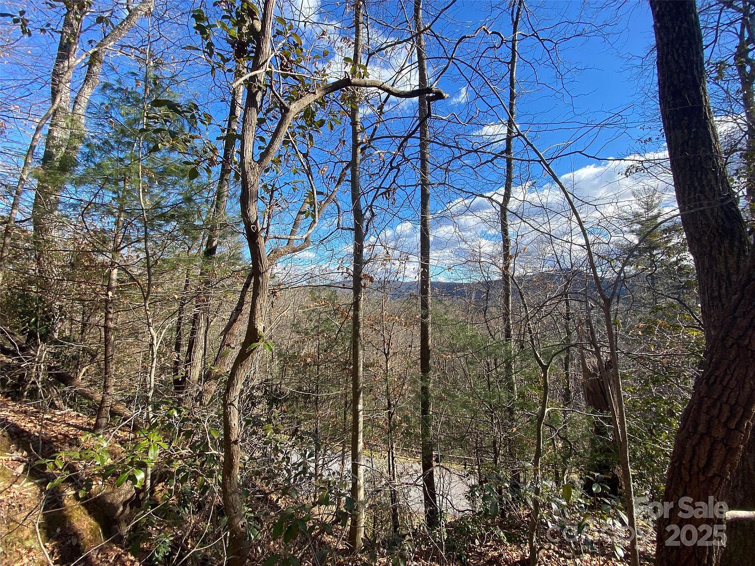 999 High Point Trl Brevard, NC 28712  | Land/Lot