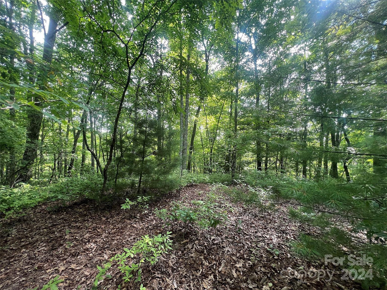 0 Laurel Thicket Brevard, NC 28712  | Land/Lot