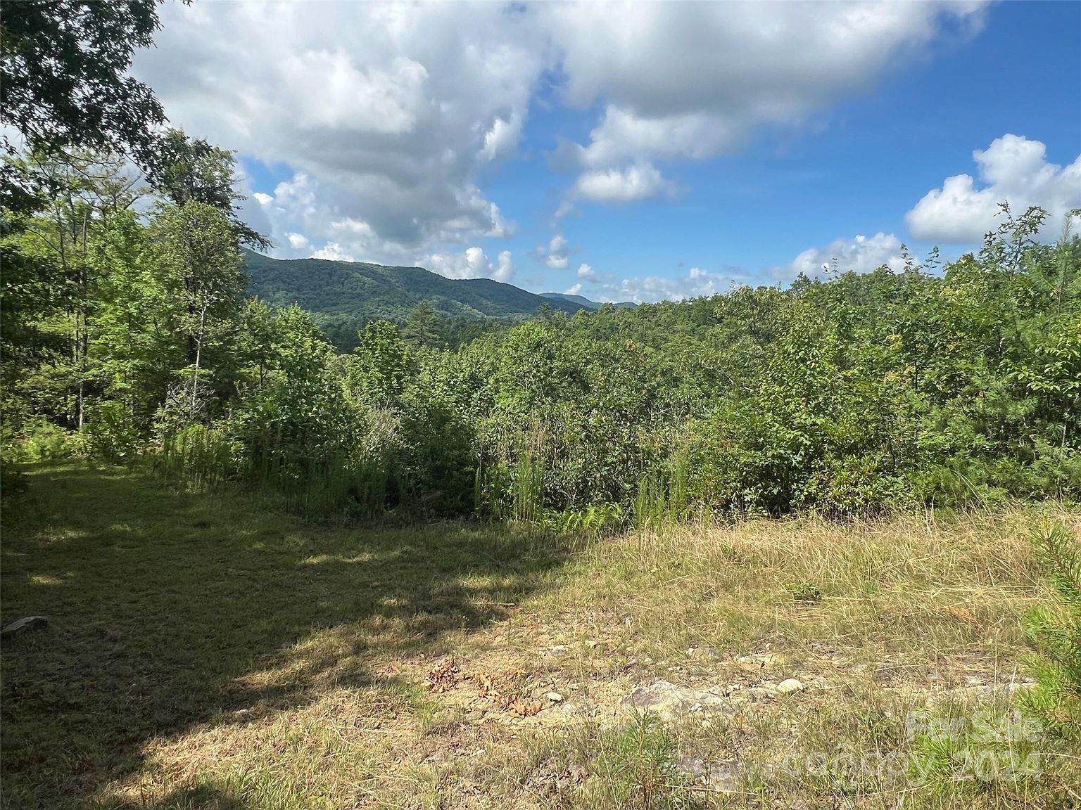 667 Laurel Thicket Brevard, NC 28712  | Land/Lot