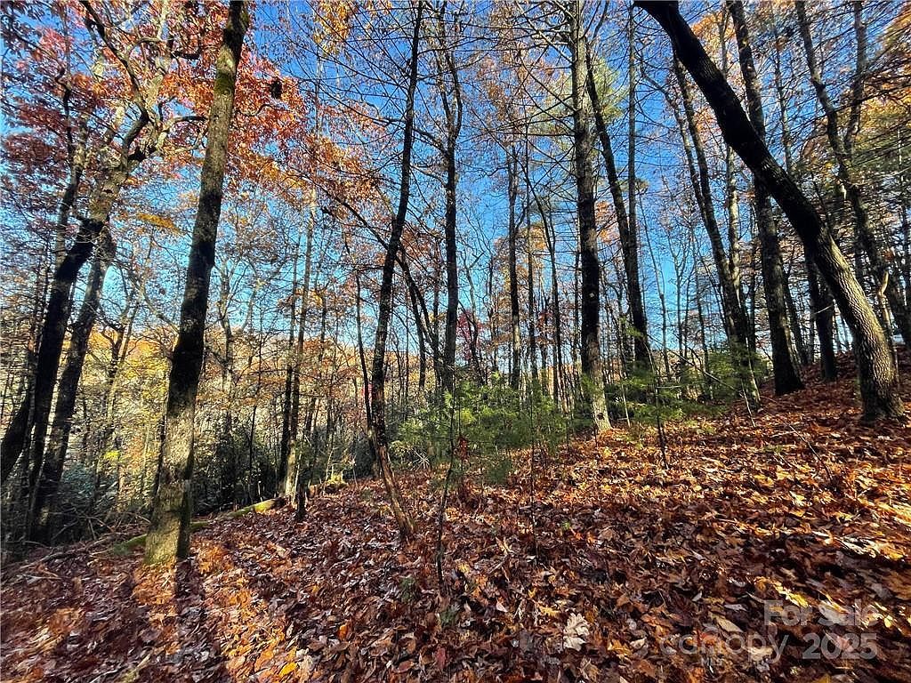 9999 Sassafras Ln #4 Cedar Mountain, NC 28718  | Land/Lot