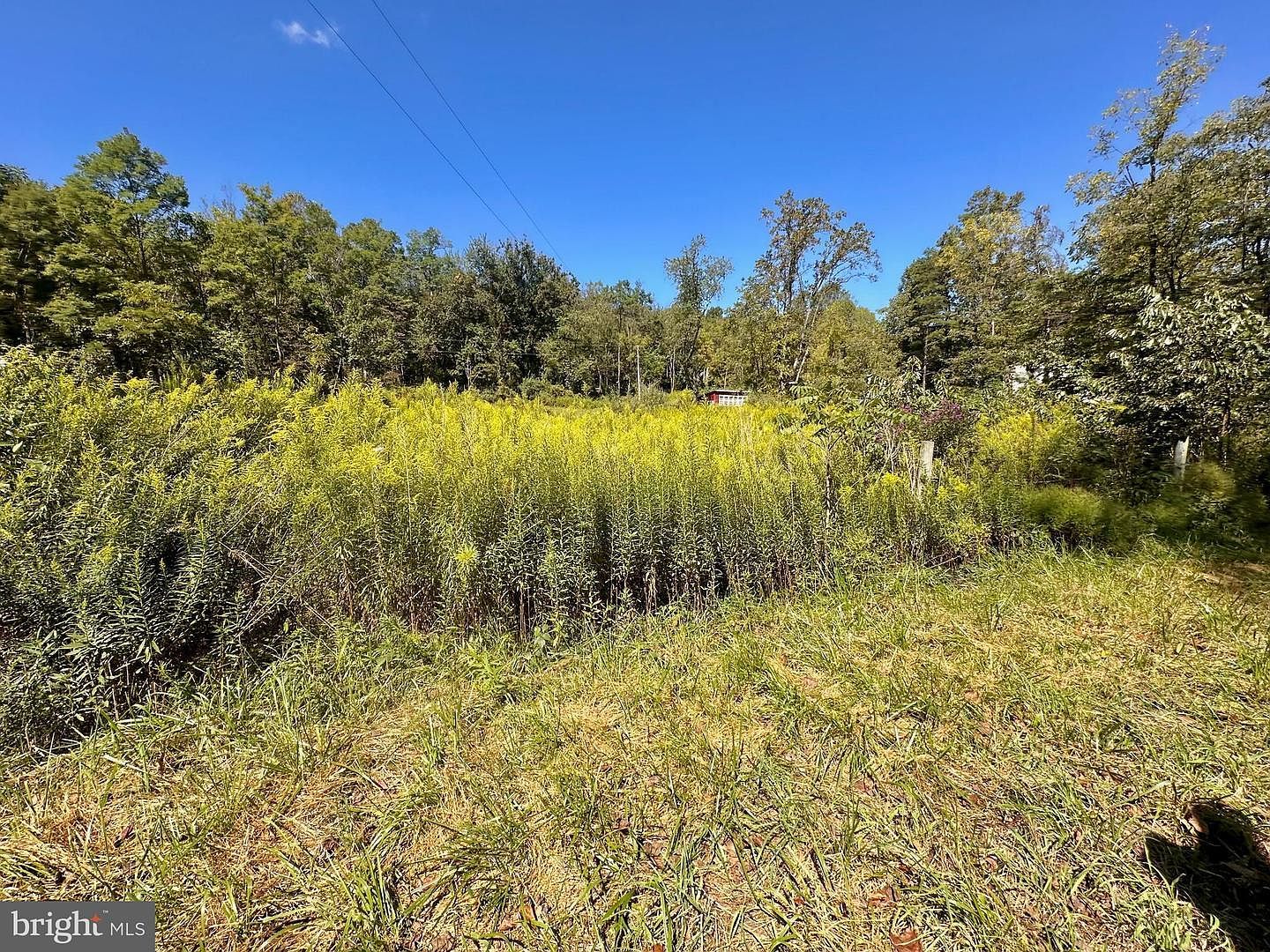 6805 Black Bear Rd Needmore, PA 17238 | New build