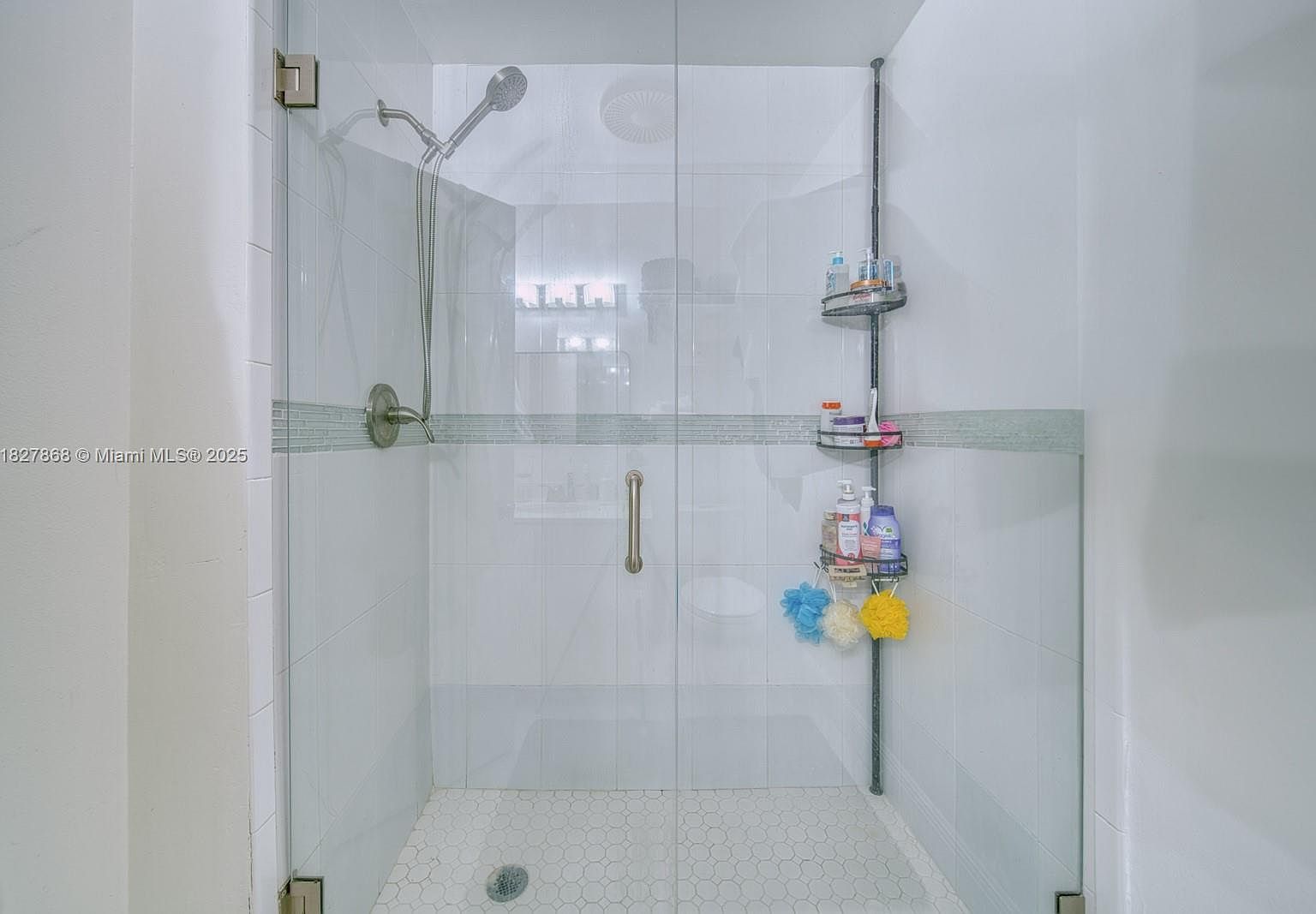 10000 SW 147th Ct Miami, FL 33196 | Single Family