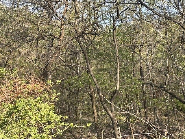 0 Church Rd Butler, PA 16002 | Single Family