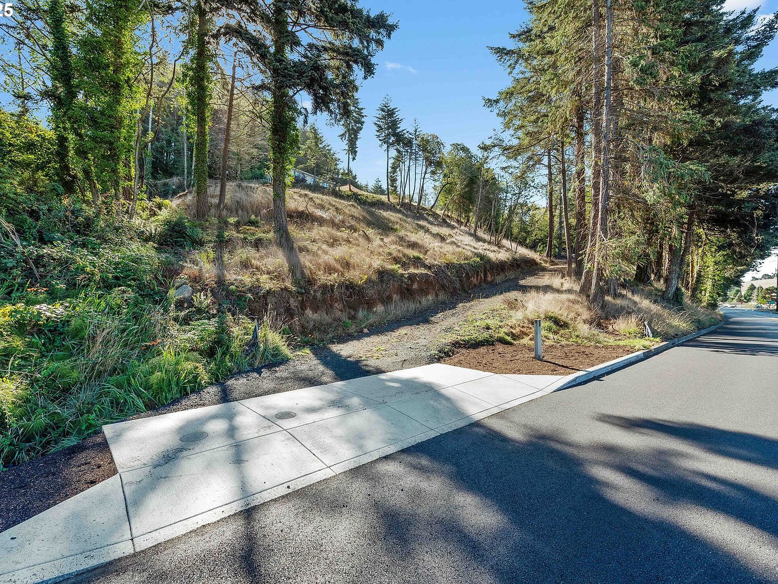 2253 Pony Creek Rd North Bend, OR 97459 | Land/Lot