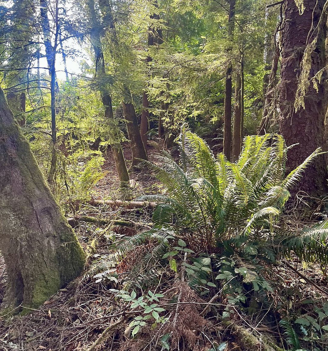 20th Ln Coos Bay, OR 97420 | Land/Lot