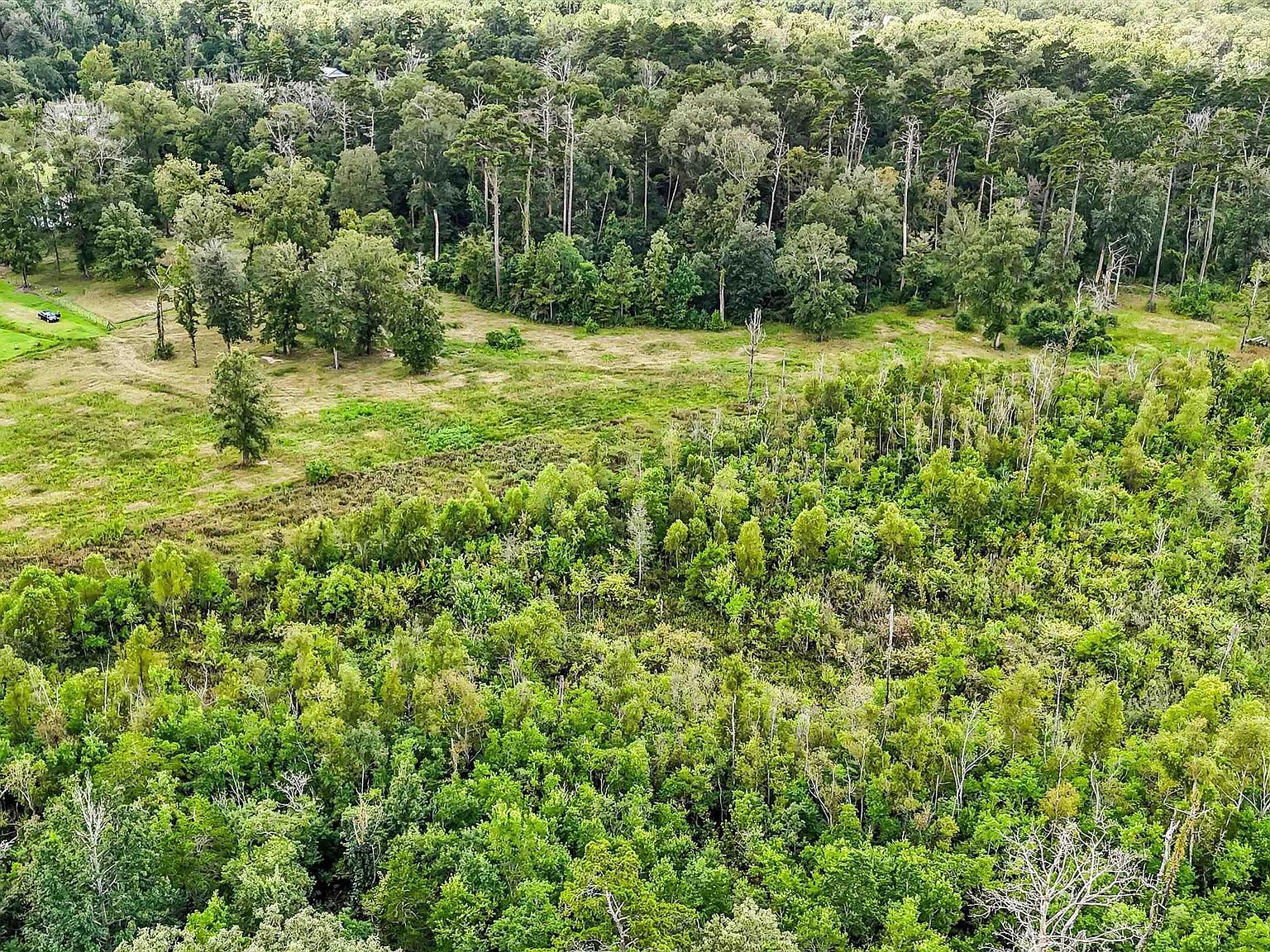 13231 Hammack Rd Denham Springs, LA 70726 | Land/Lot