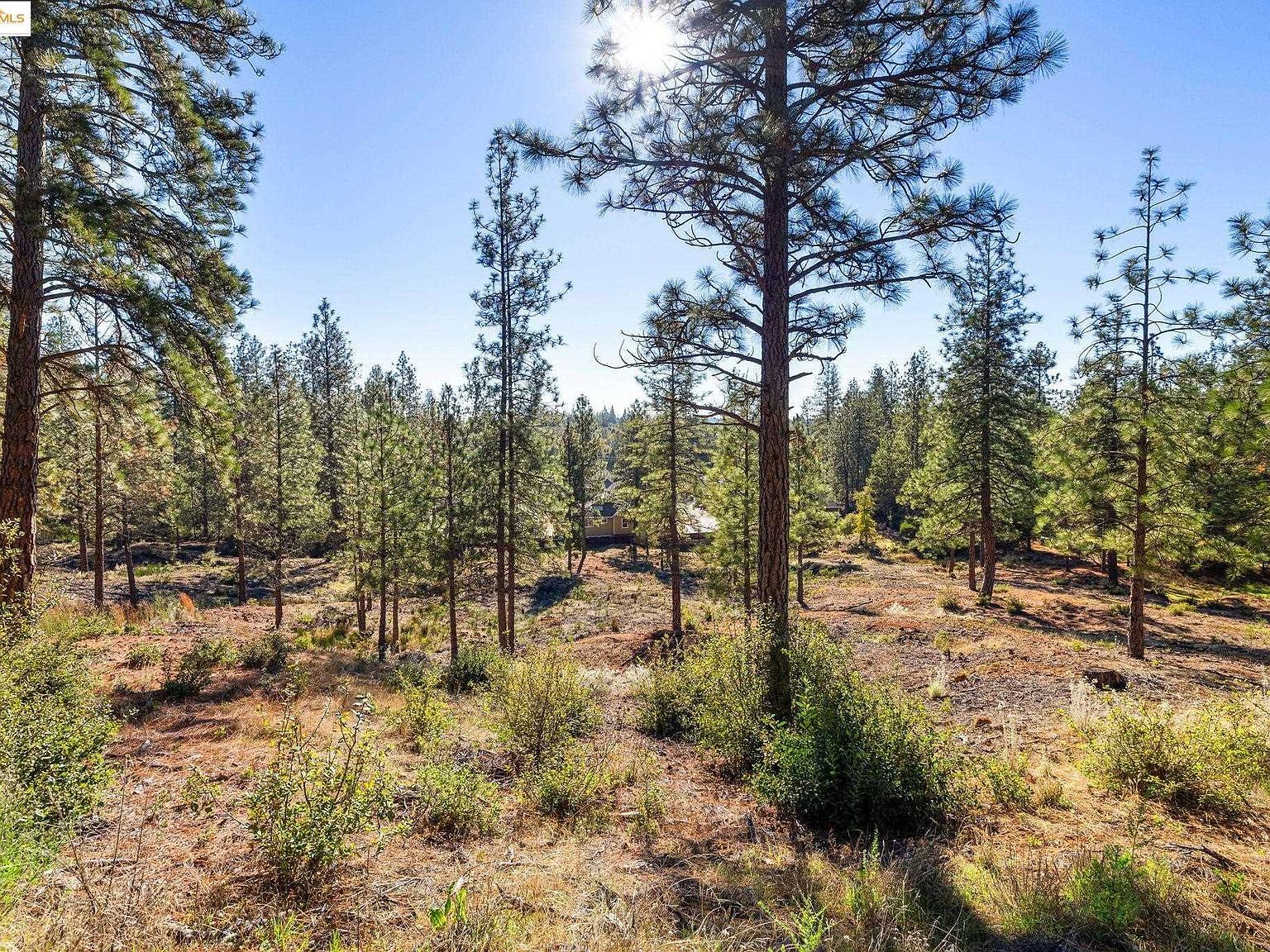 11210 Forest Park Rd Columbia, CA 95310 | Land/Lot