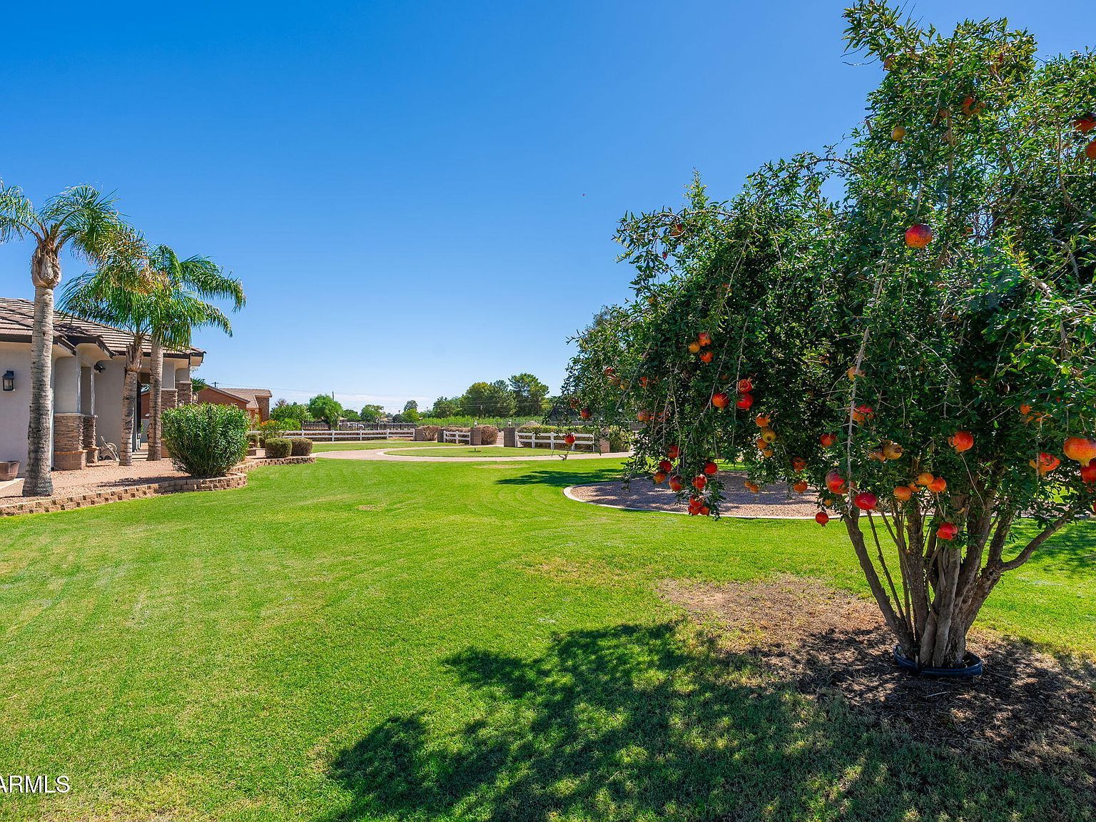 22807 S 179th St Gilbert, AZ 85298  | Single Family