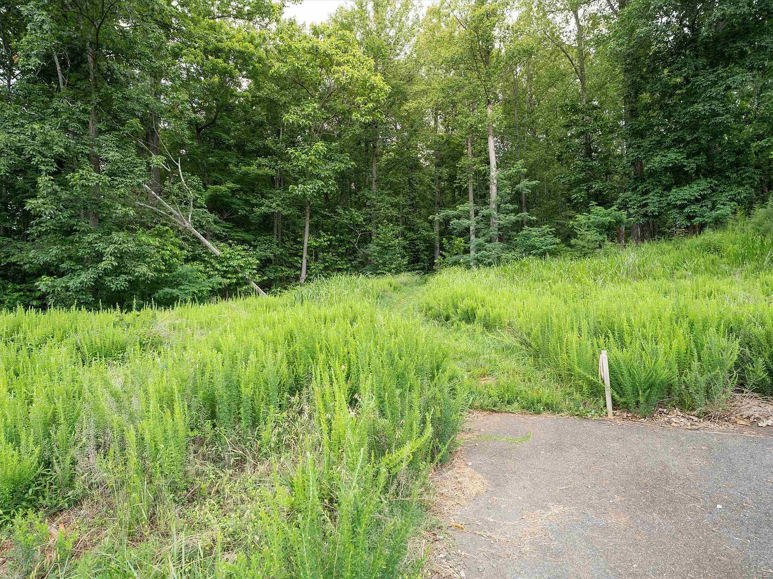 Hyland Ridge Dr Charlottesville, VA 22911  | Land/Lot