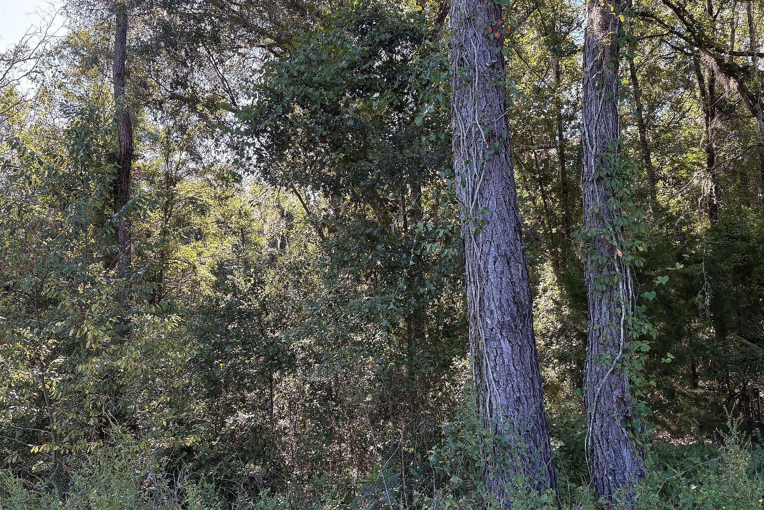 SW Tustenuggee Ave Lake City, FL 32024  | Land/Lot