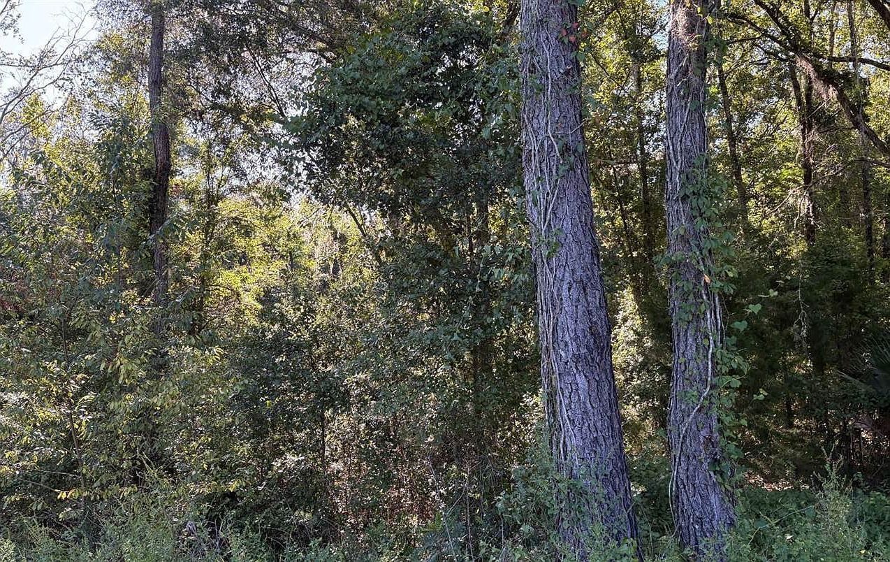 Tbd Sw Tustenuggee Ave Lake City, FL 32024 | Land/Lot