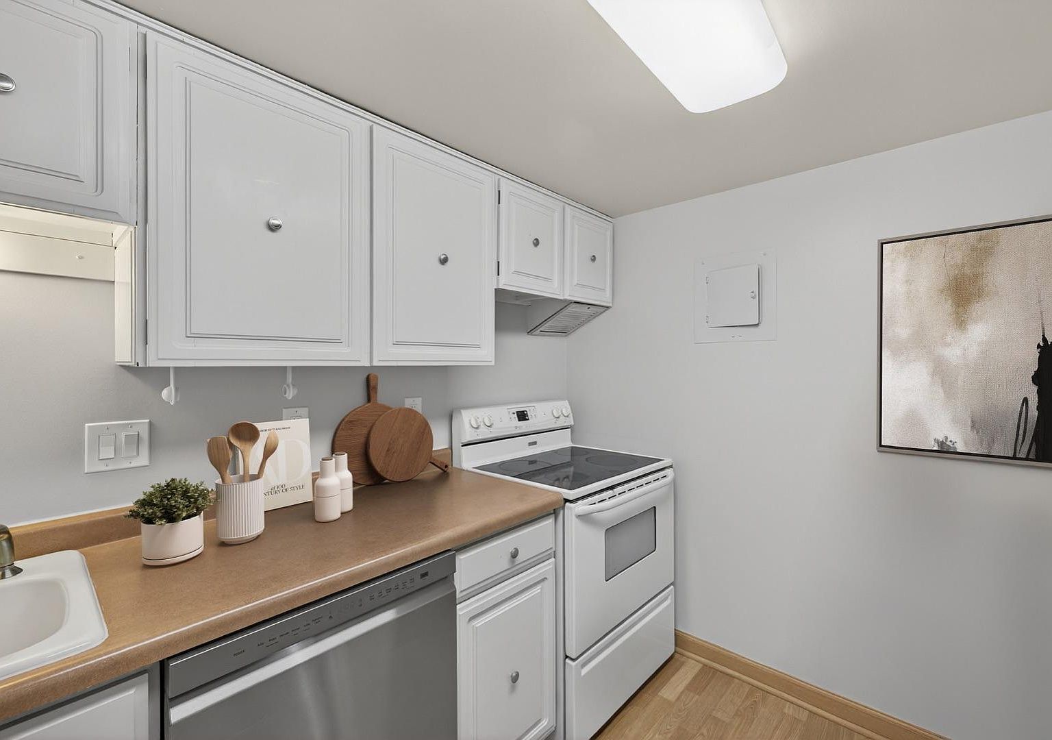 207 5th Ave SW APT 902 Rochester, MN 55902  | Condominium