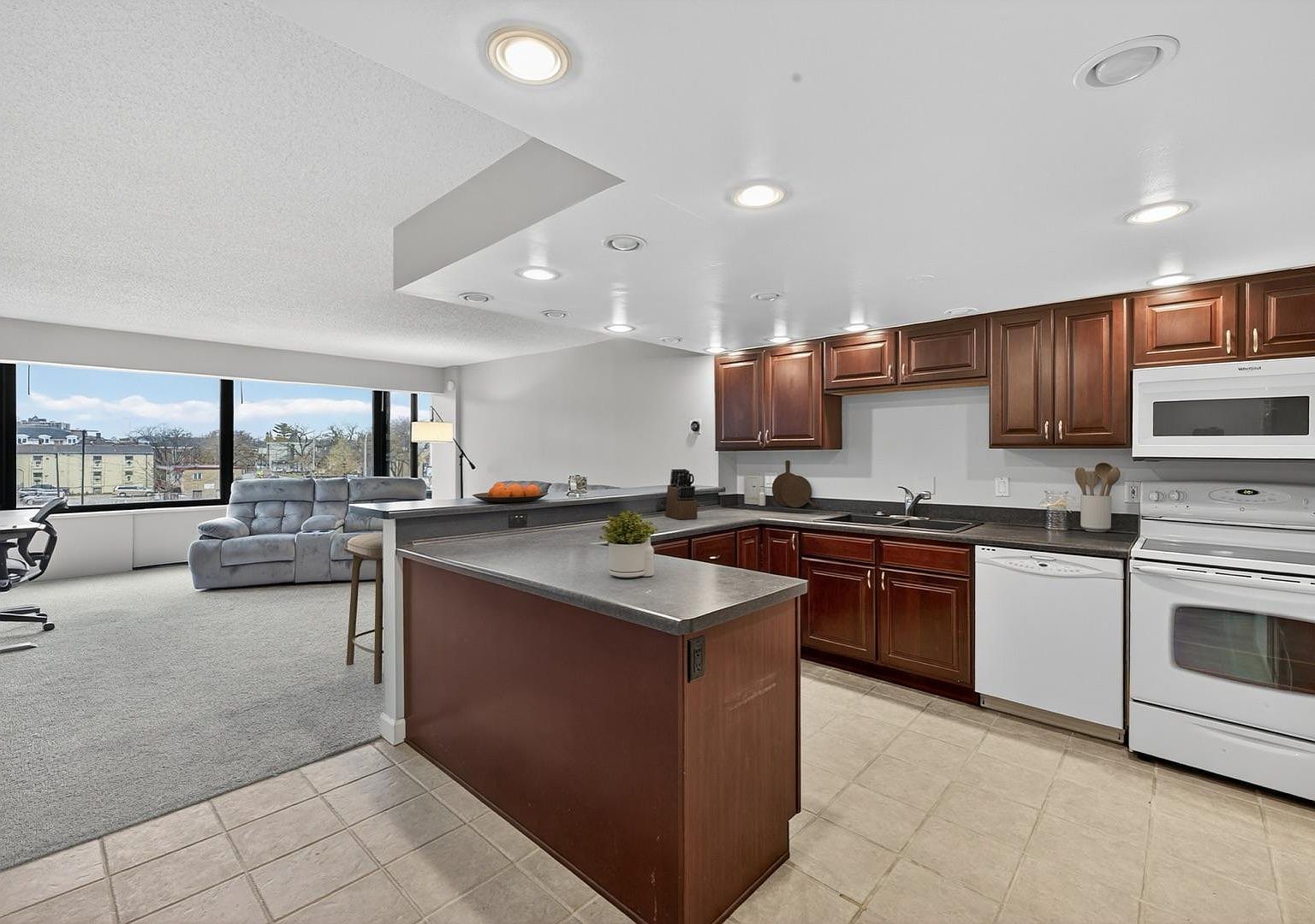 207 5th Ave SW APT 202 Rochester, MN 55902 | Condominium