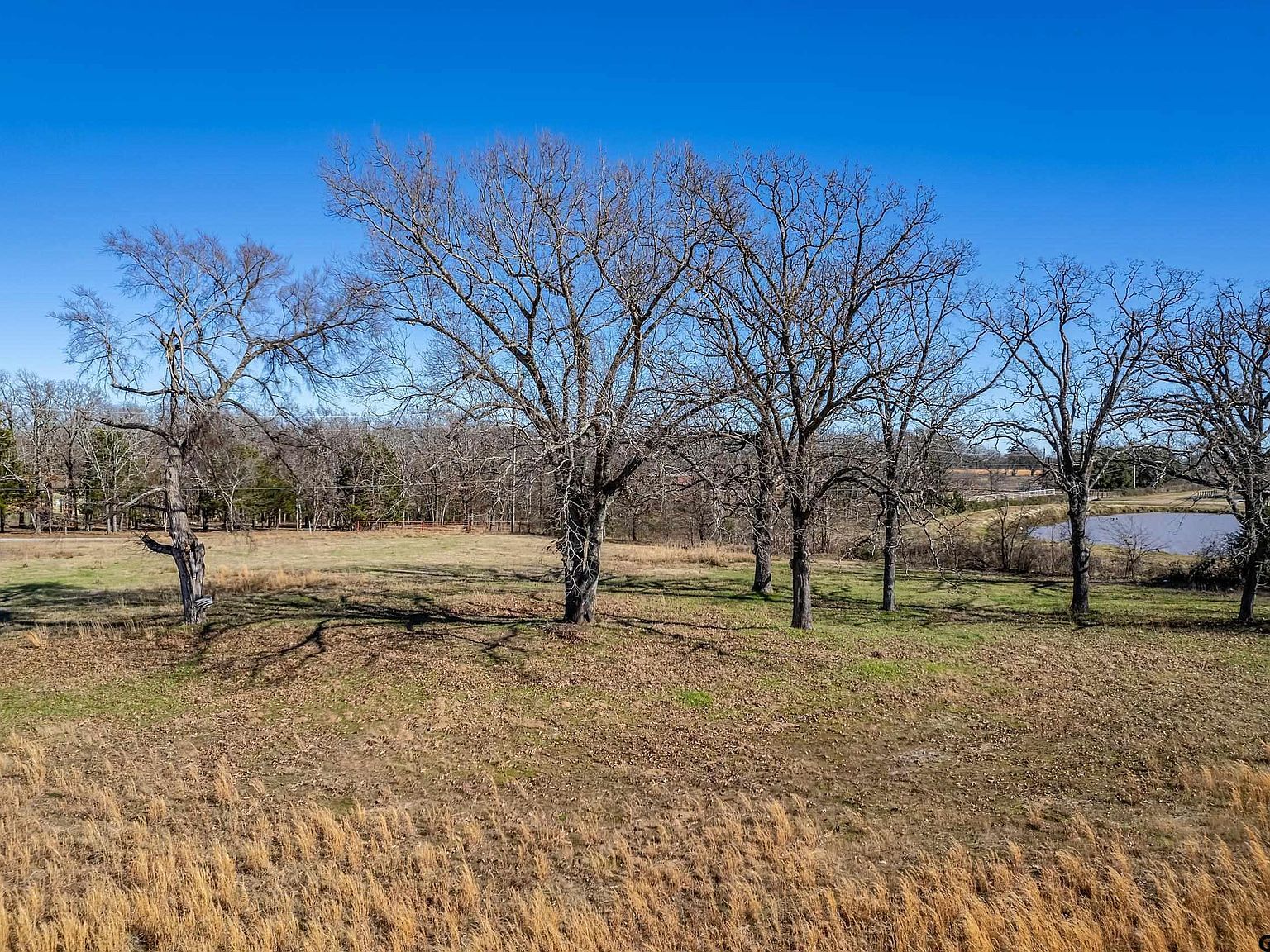 Vz County Road 1516 Van, TX 75790  | Land/Lot