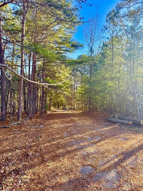 334 Packet Ct Ranger, GA 30734  | Land/Lot