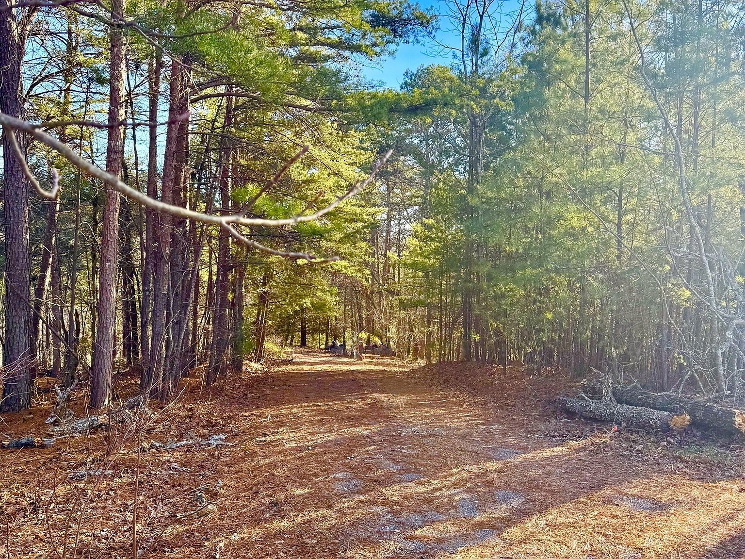 335 Packet Ct Ranger, GA 30734  | Land/Lot