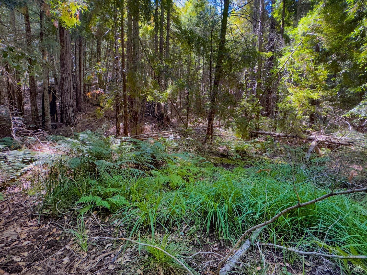 3700 Redwood Creek Rd Willits, CA 95490 | Land/Lot
