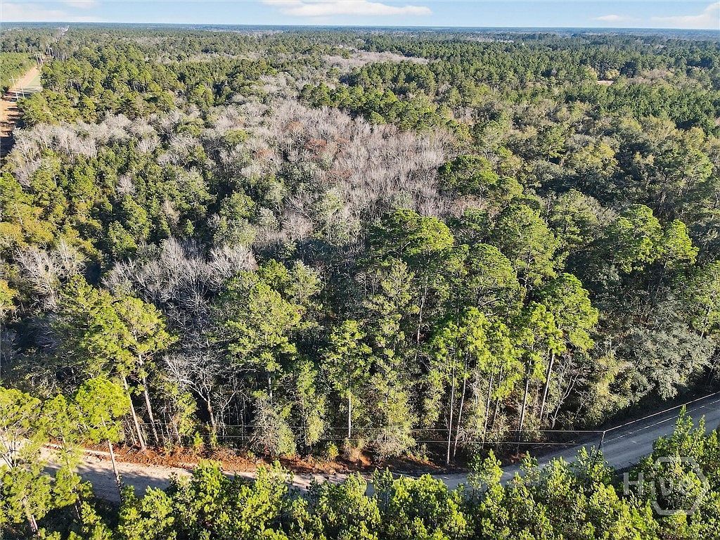 0 Beautiful Zion Cemetery Rd Pembroke, GA 31321  | Land/Lot