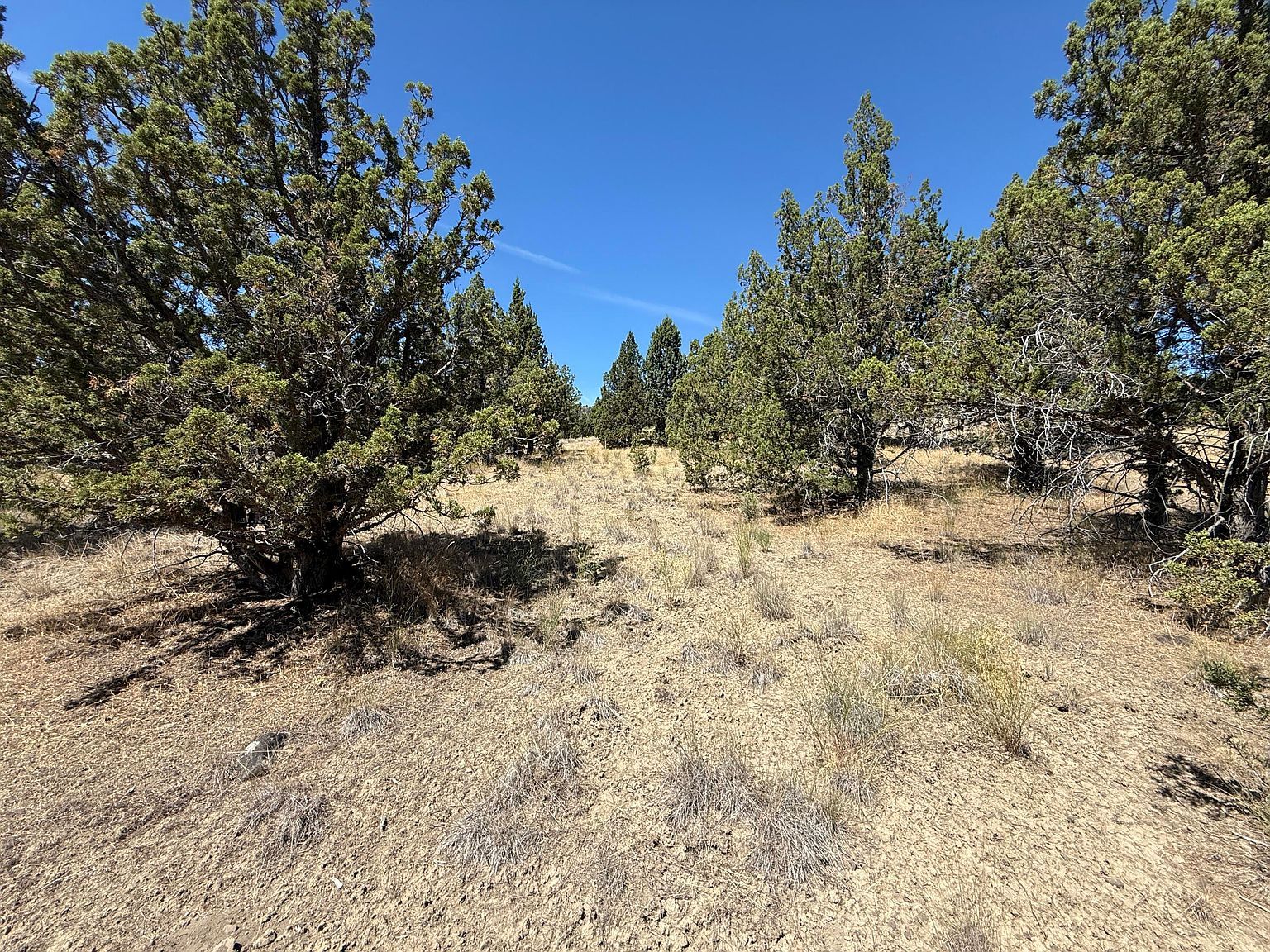 10164 SE Sundown Ln Prineville, OR 97754 | Land/Lot