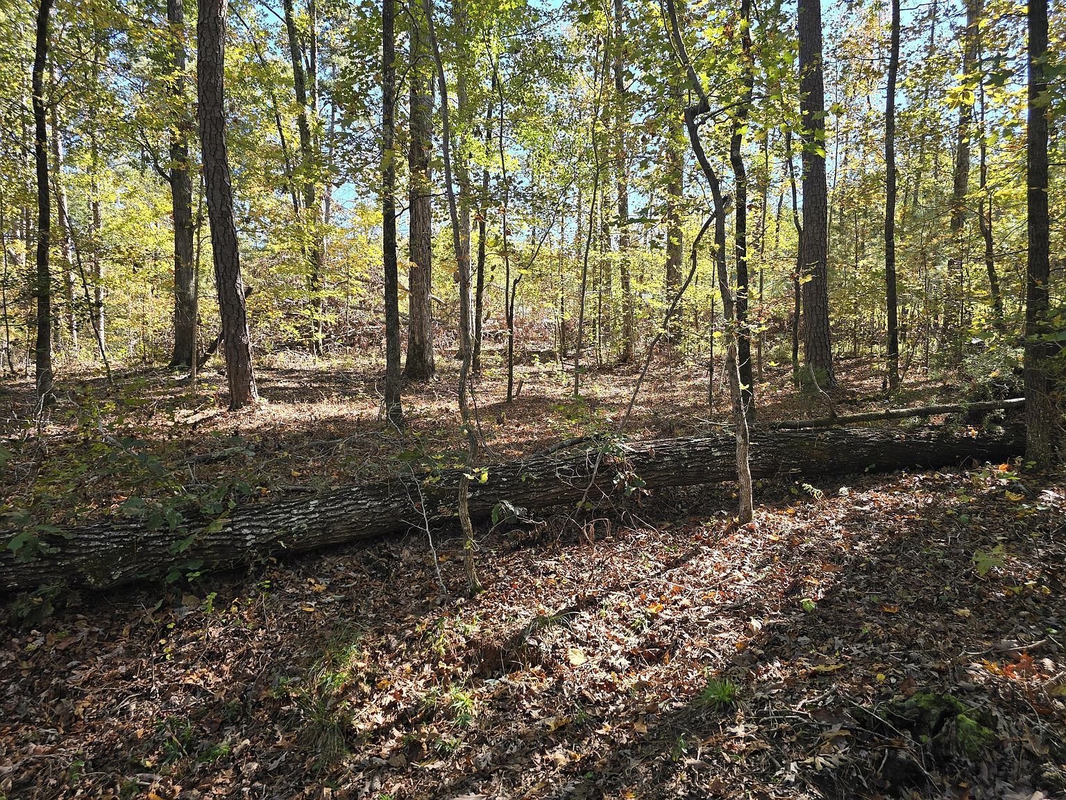 7501 Rainey Morris Rd Appling, GA 30802 | Land/Lot