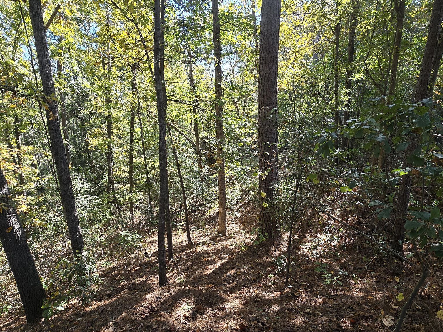 937 Bennock Mill Rd Augusta, GA 30906  | Land/Lot