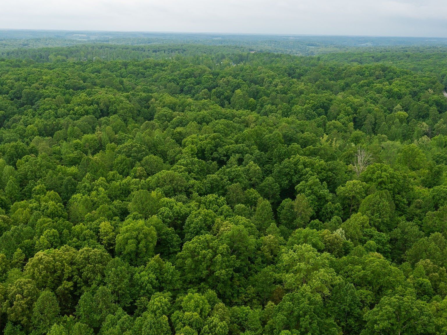 2100 Highway 13 Erin, TN 37061  | Land/Lot