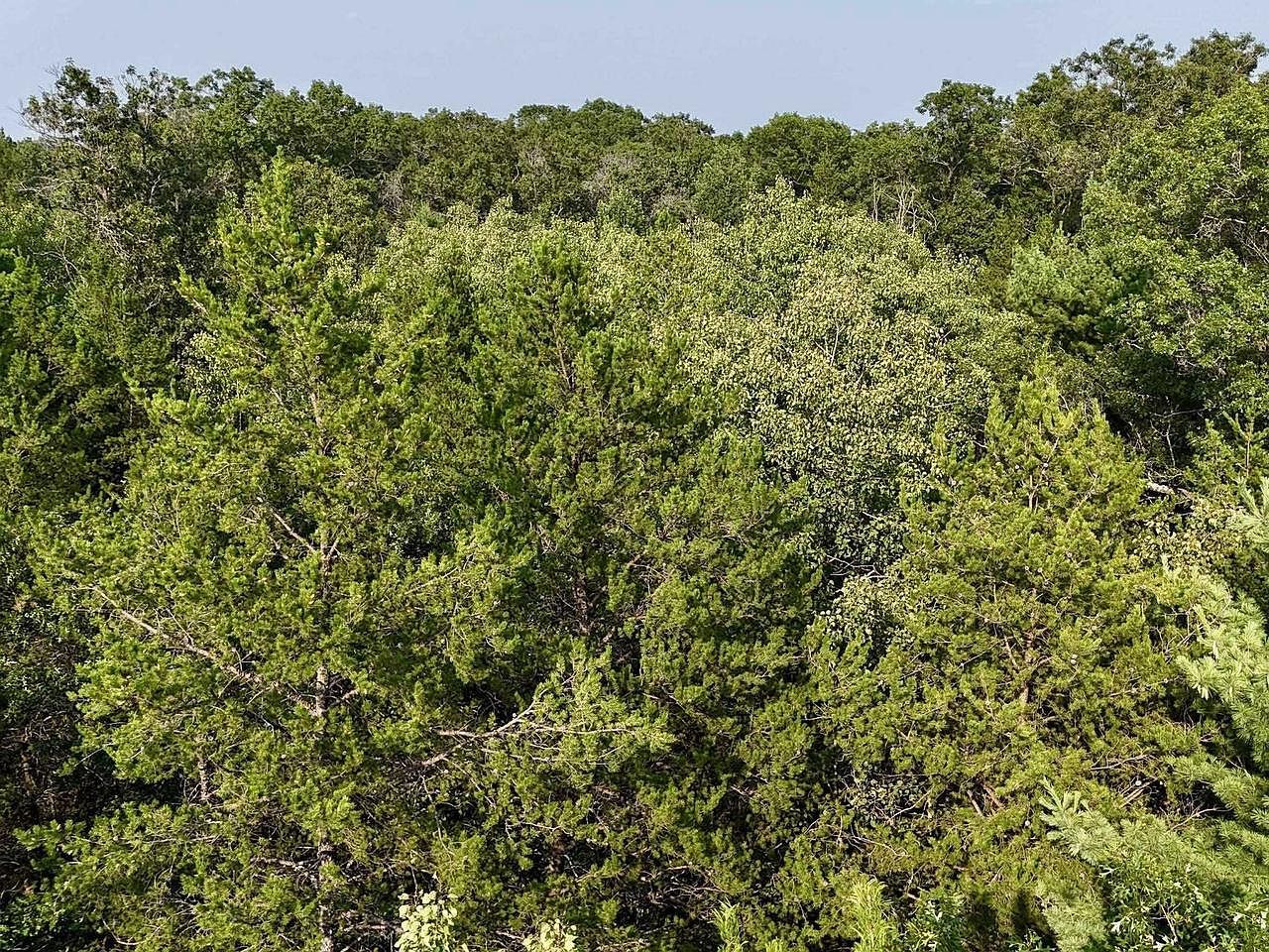 15 Acres Hwy #13 Friendship, WI 53934  | Land/Lot