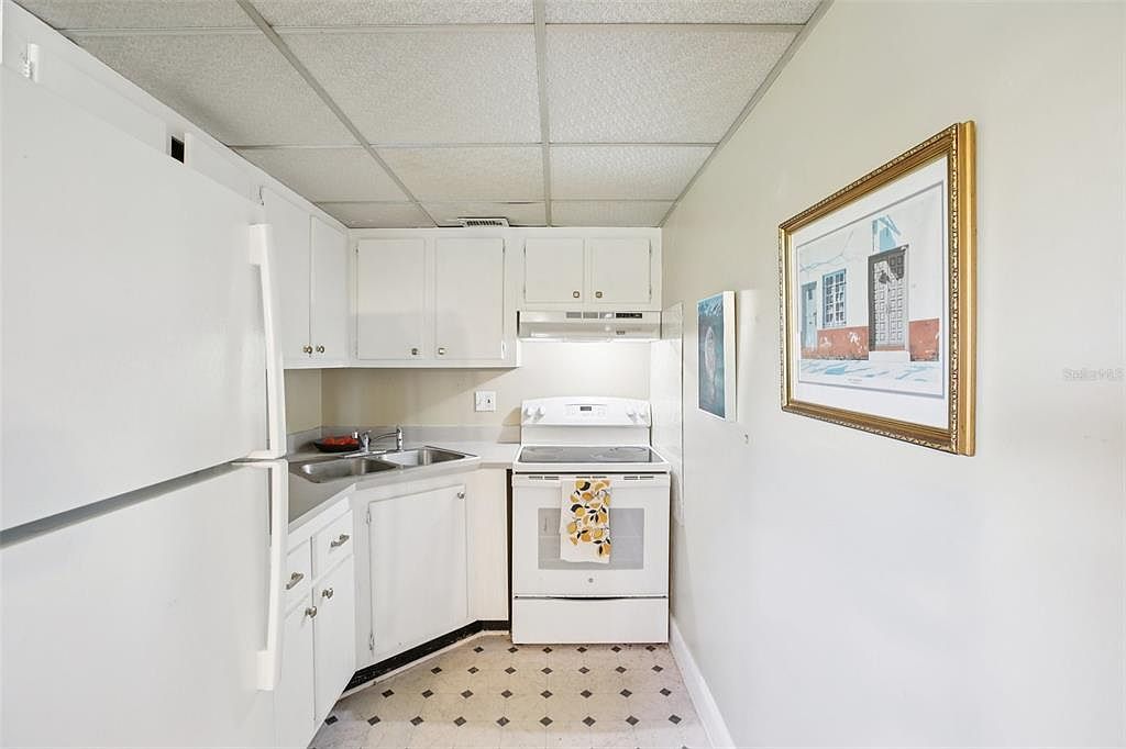 209 NE Lincoln Cir N APT 309 Saint Petersburg, FL 33702 | Condominium