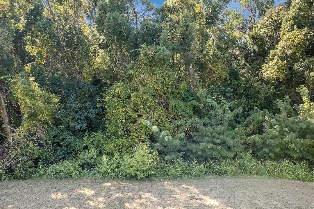 0 Fred George Rd Tallahassee, FL 32303  | Land/Lot