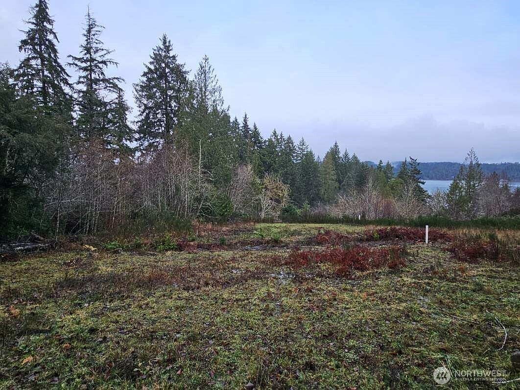 211 E Linda Vista Ct Union, WA 98592  | Land/Lot