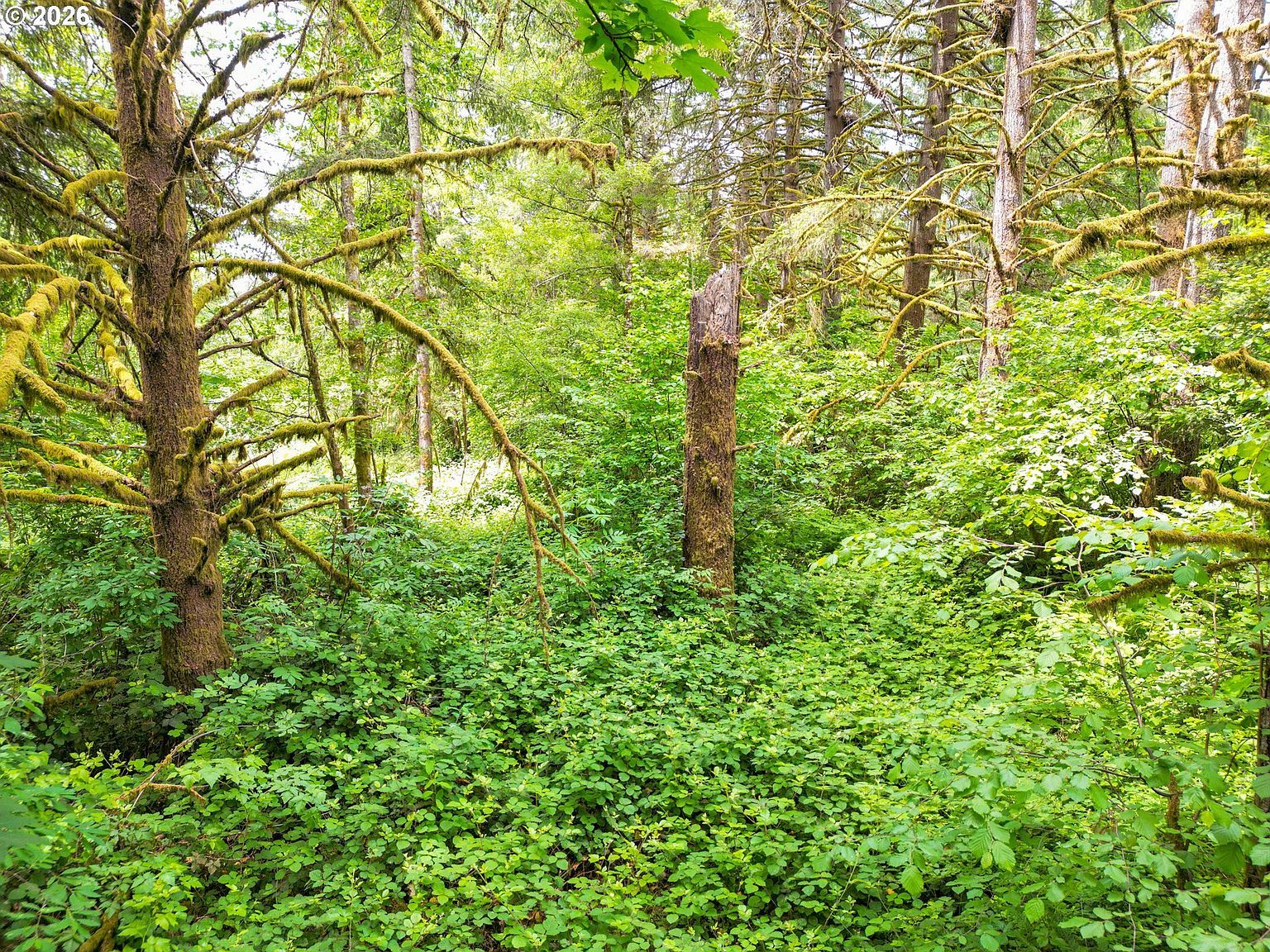 257387000 Lacenter La Center, WA 98629  | Land/Lot