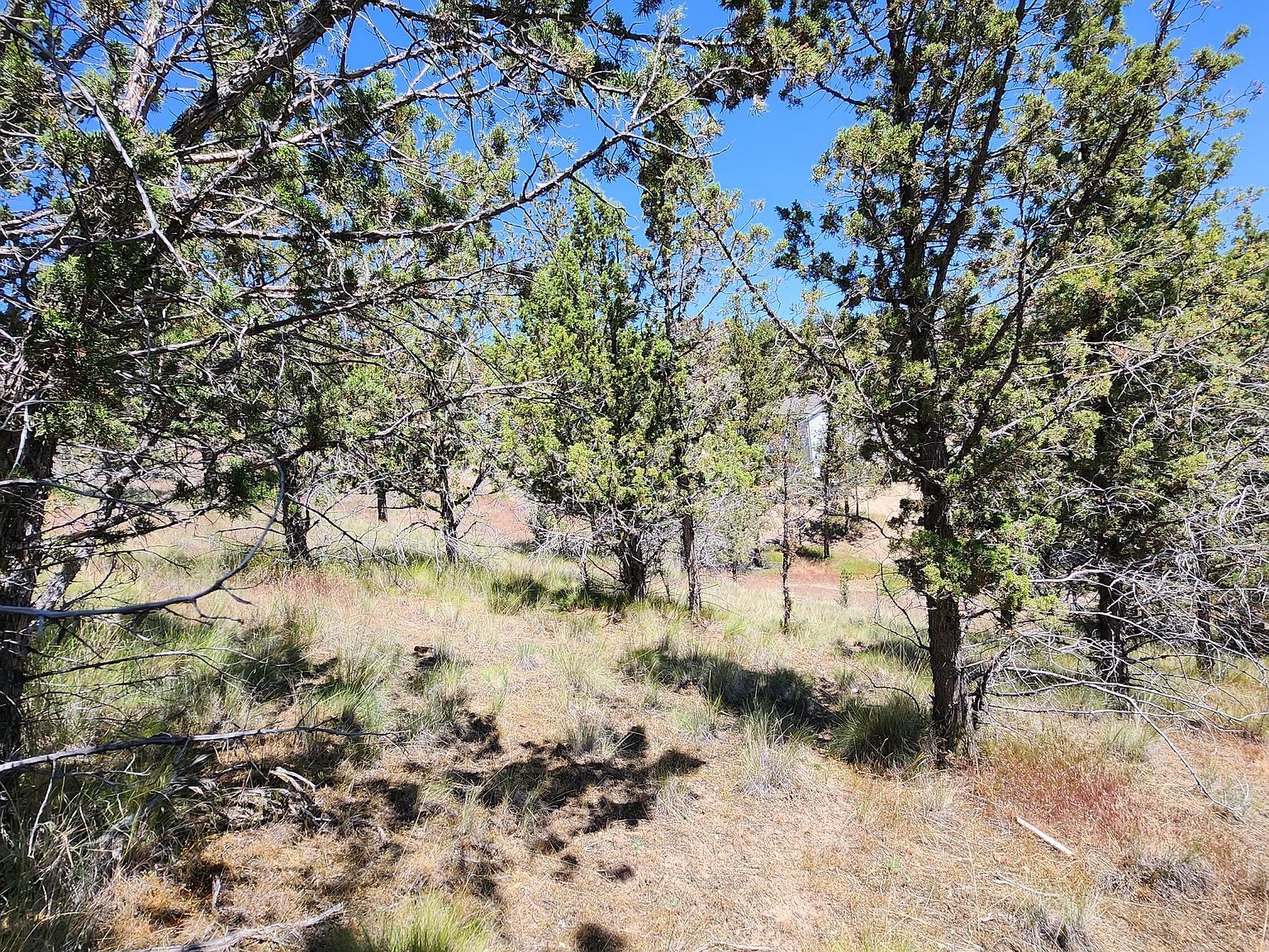 11574 NW Nye Ave Prineville, OR 97754  | Land/Lot