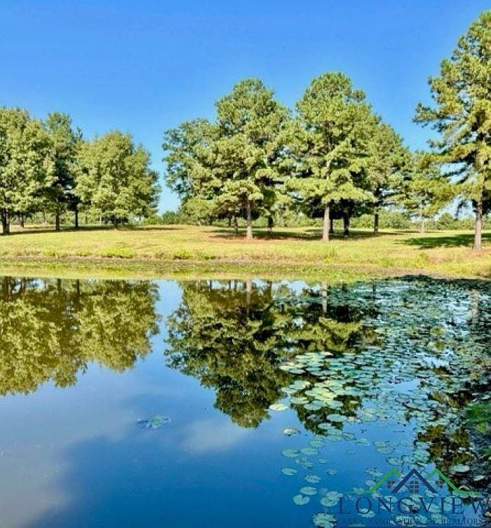 State Highway 300 Gilmer, TX 75645  | Land/Lot