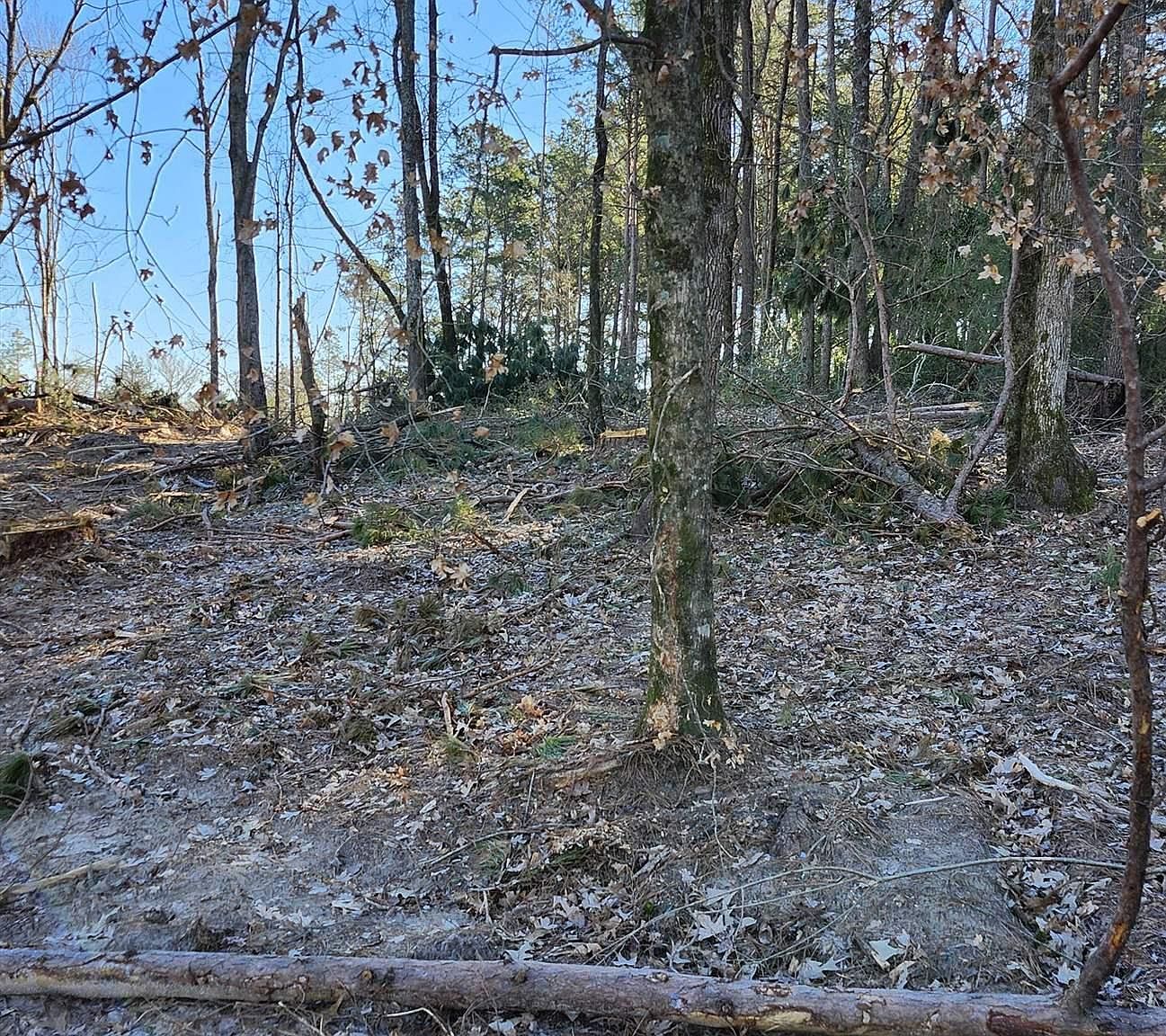 County Road 182 Timpson, TX 75975  | Land/Lot