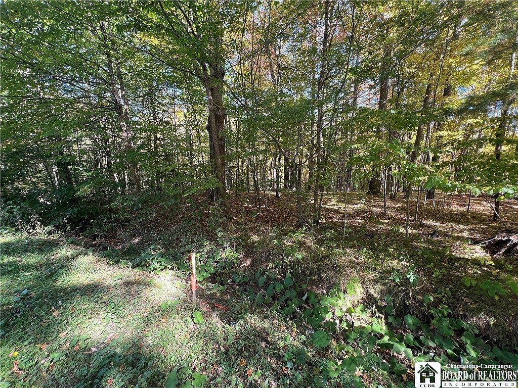 Orr Street Busti Jamestown, NY 14701  | Land/Lot