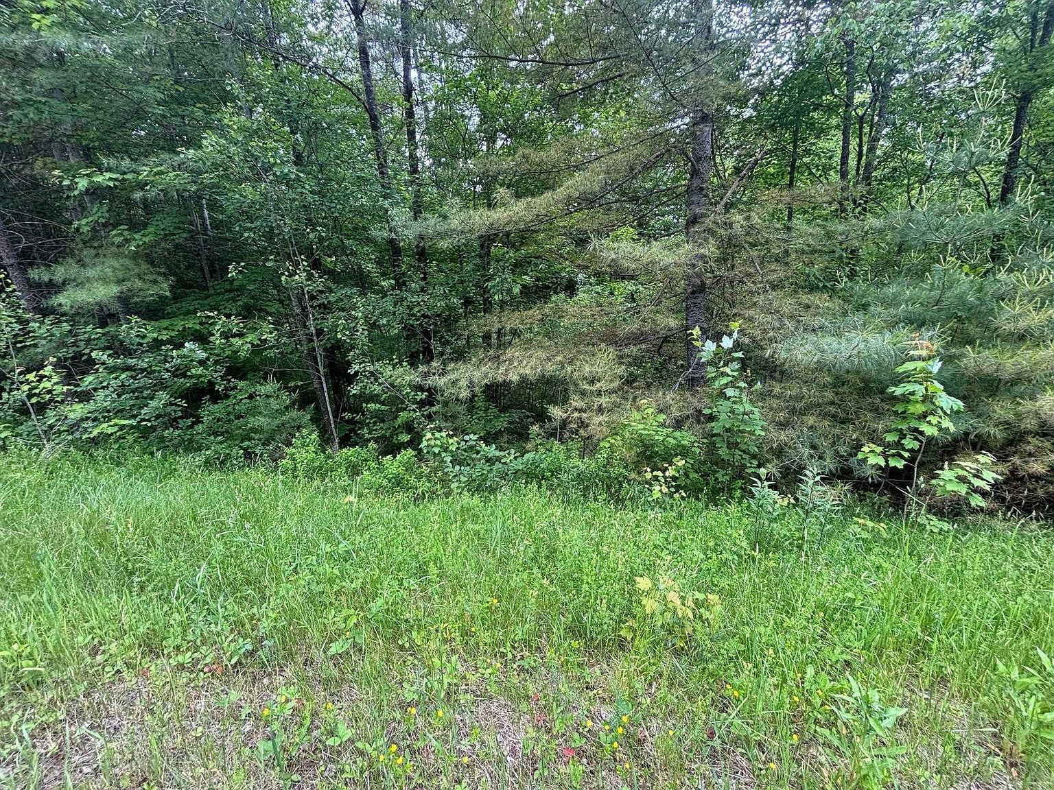 0 State Route 105 Brighton, VT 05846 | Land/Lot