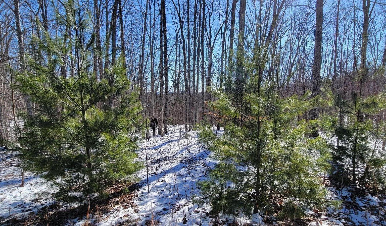 313 Country Wood Pl Harriman, TN 37748  | Land/Lot