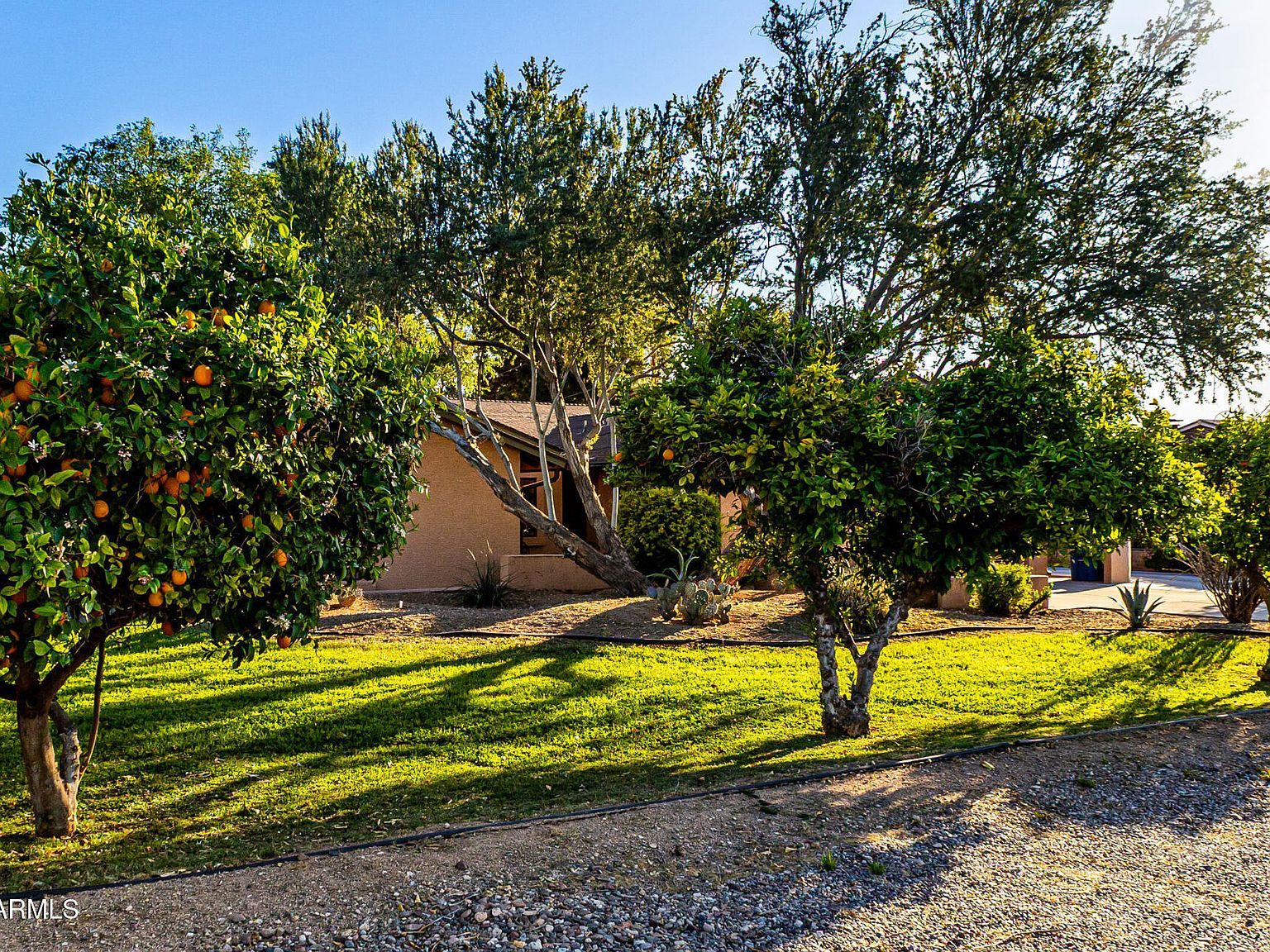 2115 W Shawnee Dr Chandler, AZ 85224  | Single Family