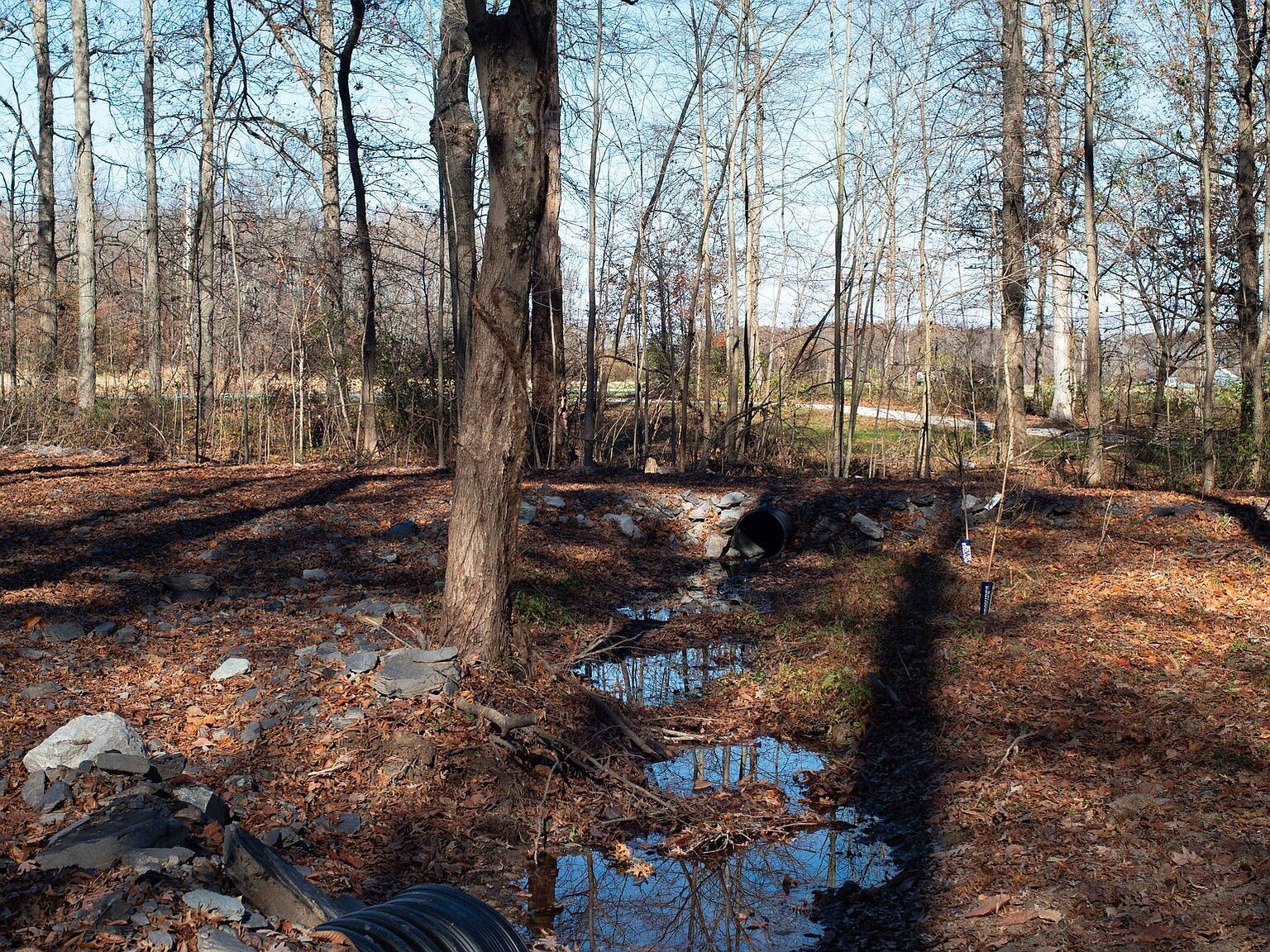 3 S State St North Vernon, IN 47265  | Land/Lot