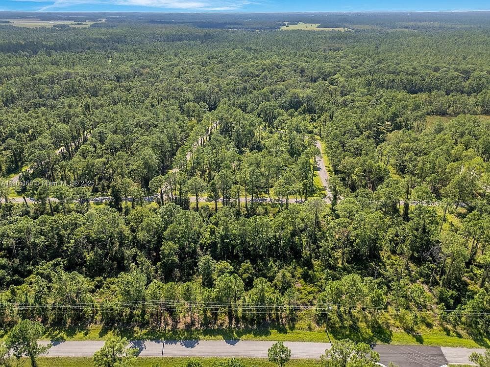 8176 Mantua Ave Sebring, FL 33872 | Land/Lot